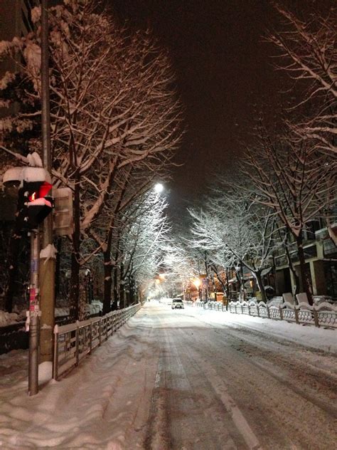 Free Images Tree Snow Winter Street Night Evening Weather