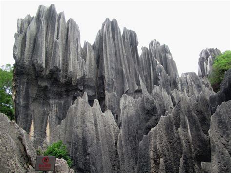 The Wavy Karst Rock Formations At The Stone Forest At Shilin Near