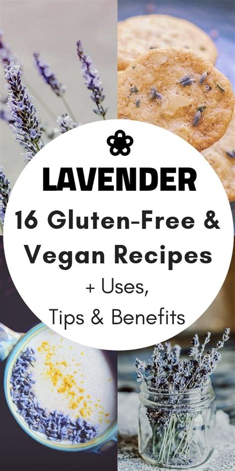 19 Best Lavender Recipes Lavender Recipes Culinary Lavender Lactose