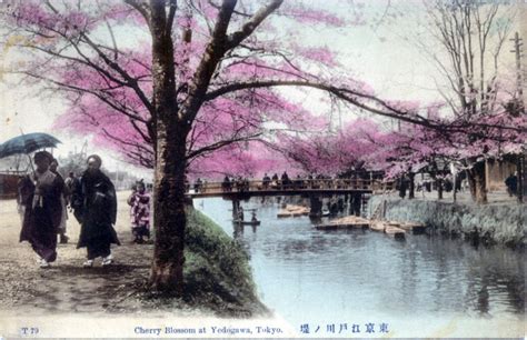 Yedogawa Tokyo C 1910 Old Tokyoold Tokyo