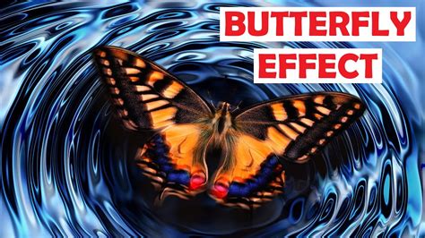 The Butterfly Effect What Is The Butterfly Effect How It Could Be