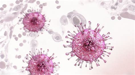 Cytomegalovirus Symptoms Transmission And Treatment
