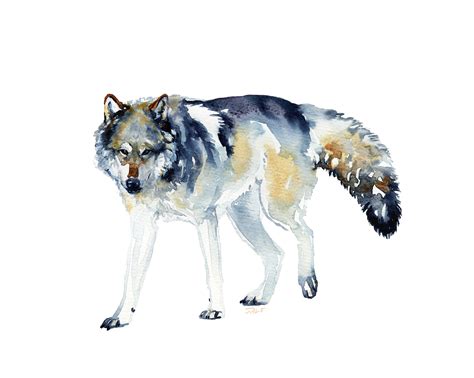 Gray Wolf Painting By Me Rpics