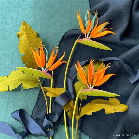 May Member Make Heavy Crepe Paper Bird Of Paradise Lia Griffith In