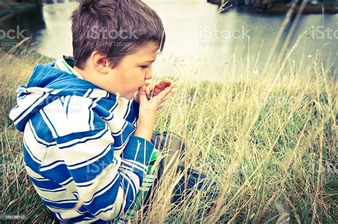 Boy Whistles With A Blade Of Grass Stock Photo Download Image Now