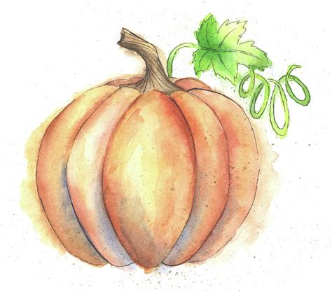 Watercolor Painting Of A Pumpkin Painting By Andrea Hill Pixels