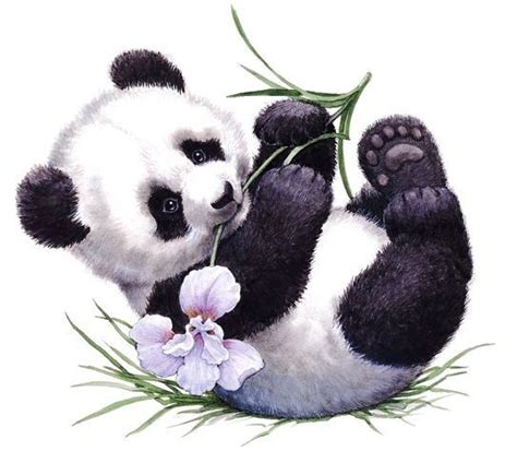 Afbeeldingsresultaat Voor Pandabeer Schilderen Panda Painting Panda