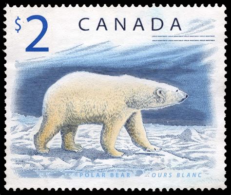canadian postage stamps images postage stamp collecting postage