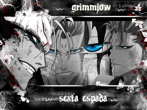 Grimmjow Bleach Anime Wallpaper Fanpop Page