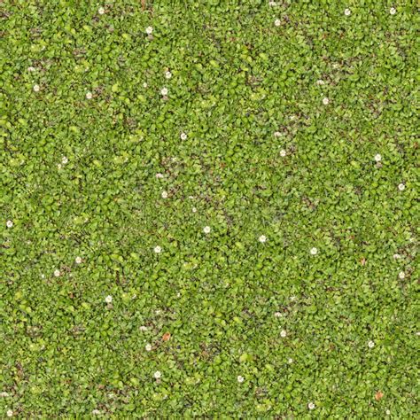 Spring Lawn With Some Flowers Seamless Texture Stock Image Image Of Pattern Natural 40757931