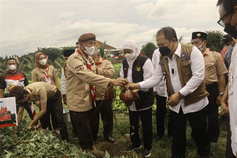Inovasi Pertanian Ketua Kwarda Panen Ubi Jalar Bersama Kamabida Jatim