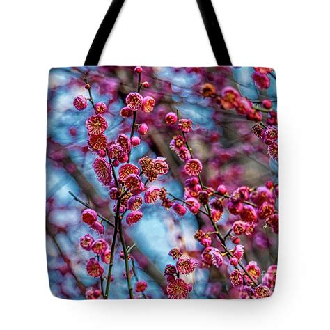 Budding Cherry Blossoms Tote Bag By Amy Dundon Tote Bag Unique Tote