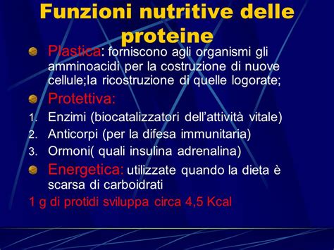 I Protidi O Proteine Le Proteine Sono I Costituenti Fondamentali Degli