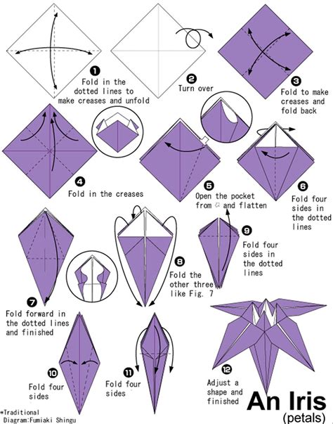 Traditional Origami Lily Flower Instructions Coloring Pages Hannah