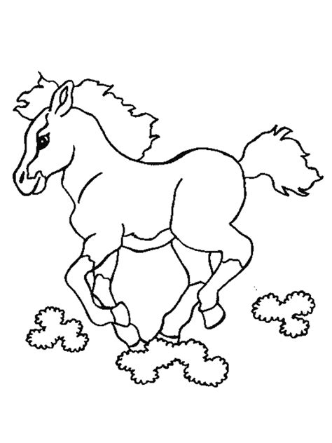 Konji Bojanke Za Printanje Sketch Coloring Page