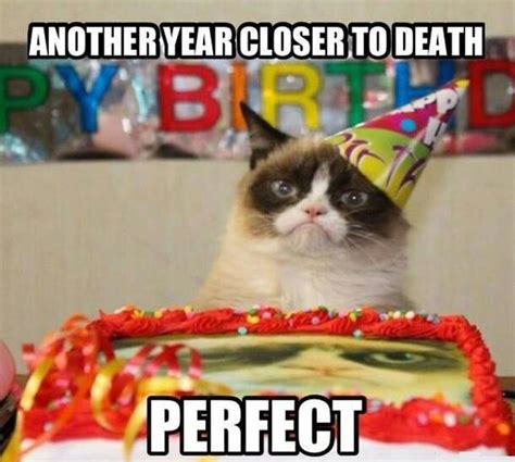 Pin By Jordyn Robinson On Funnies Grumpy Cat Birthday Grumpy Cat Grumpy Cat Humor