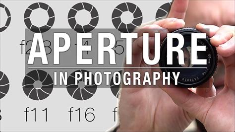 What Is An Aperture Apertures Explained Newbieto Photography