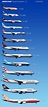 Boeing Airplanes Comparison by Paolo Rosa. | Boeing planes, Aviation ...