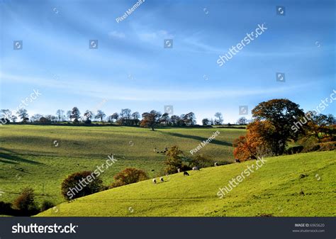 Beautiful Scenic Farmland Stock Photo 6965620 Shutterstock