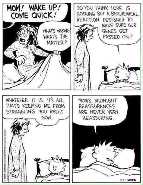pin by cherrybee on love calvin and hobbes comics calvin and hobbes fun comics