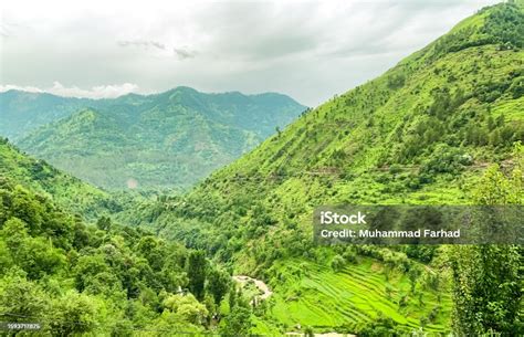 Beautiful Green Mountain Valley Landscape Background Wallpaper With