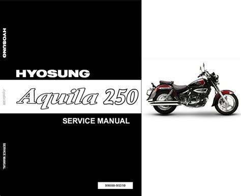 Testing the engine before putting into bike. Hyosung Aquila 250 ( GV250 ) Service Manual CD ...