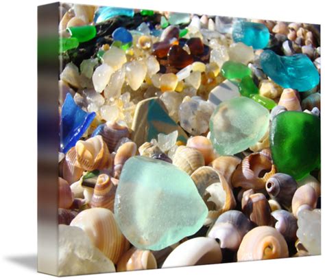 Blue Sea Glass Art Prints Coastal Agates Shells Se By Baslee Troutman