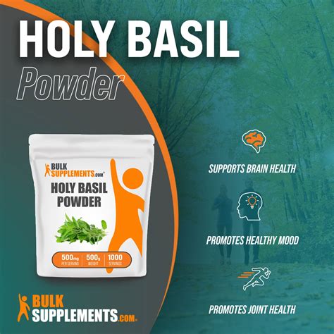 Holy Basil Supplement Ocimum Tenuiflorum Powder