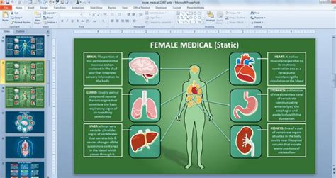 Top Effective Medical Powerpoint Templates For Healthcare