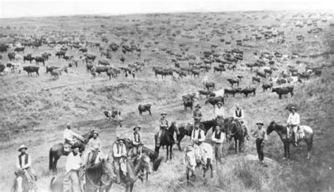 The Cattle Kingdom The West 1850 1890