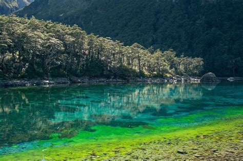 The Clearest Lake In The World Is In New Zealand