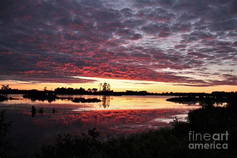 Another Seney Sunrise Photograph By Teresa McGill Fine Art America