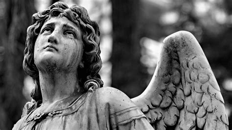Weeping Angels Wallpaper Weve Gathered More Than 3 Million Images
