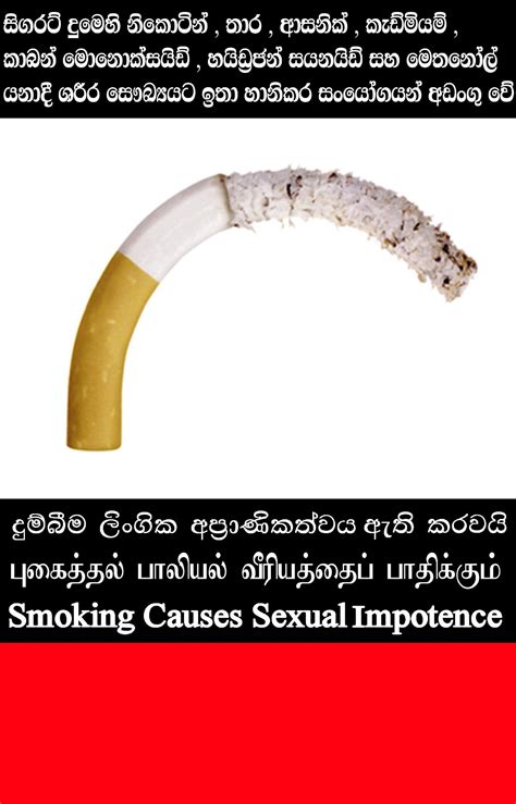 Smoking Causes Sexual Impotence
