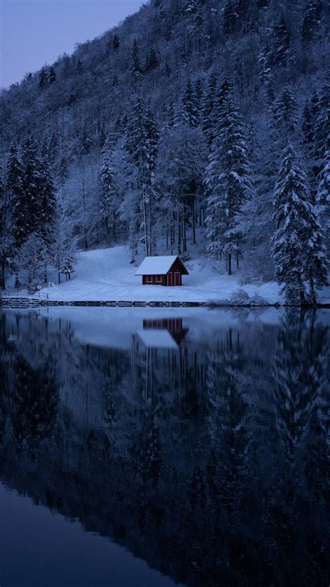 Lake Forest Snow Cabin Iphone Wallpaper Iphone Wallpapers Iphone