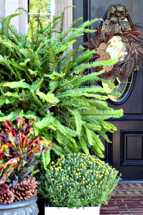 Two Large Planters Filled With Plants Sitting In Front Of A Door