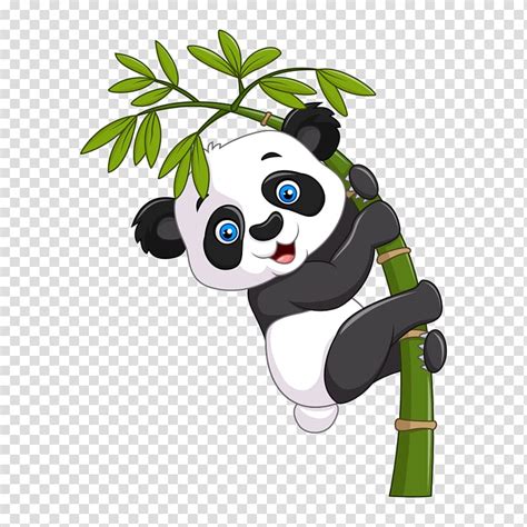 Panda Cartoon Clipart 10 Free Cliparts Download Images On Clipground 2021
