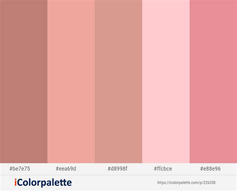 Old Rose Color Palette Coral Colour Palette Pink Color Schemes Brand