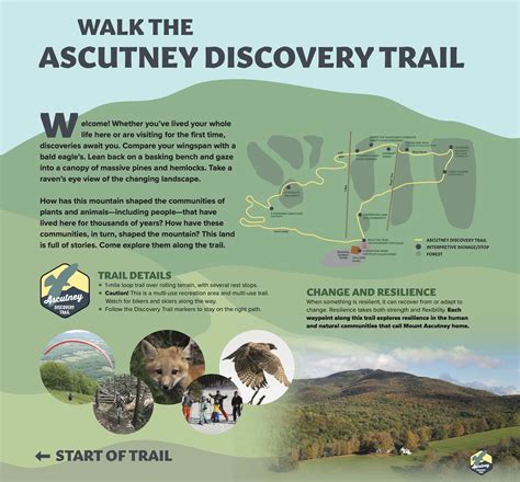 Hikingtrail Running Ascutney Outdoors