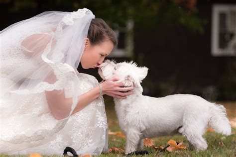A Bride And Her Dog Southern Maine Wedding Photography Photographer