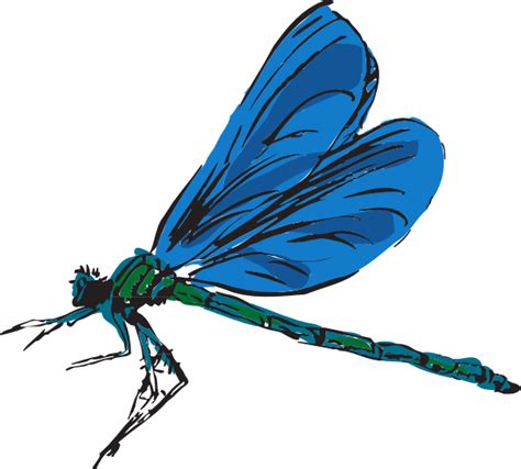 Dragonfly Cartoon Clipart Best
