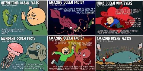 Ocean Facts Funny