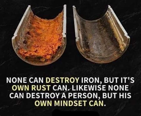 None Can Destroy Iron But Its Own Rust Can Similarly Persons Own