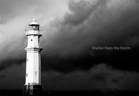Shelter From The Storm Photograph By Stuart Rowell Fine Art America