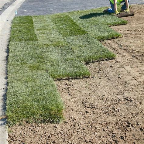 We did not find results for: Everything to Know Before Laying Sod & How to Lay Sod - Modern Design in 2020 | Sod installation ...