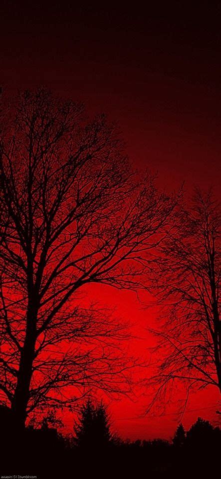 Dark Red Aesthetic On Tumblr Red Aesthetic Grunge Dark Red Wallpaper