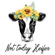 'Not Today Heifer - Funny Sunflower Cow' Men's T-Shirt | Spreadshirt png image