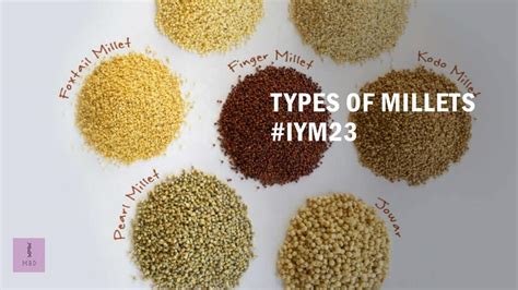 Types Of Millets Iym 2023 My Biology Dictionary