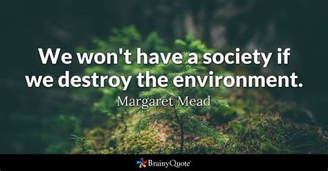Margaret Mead We Wont Have A Society If We Destroy The
