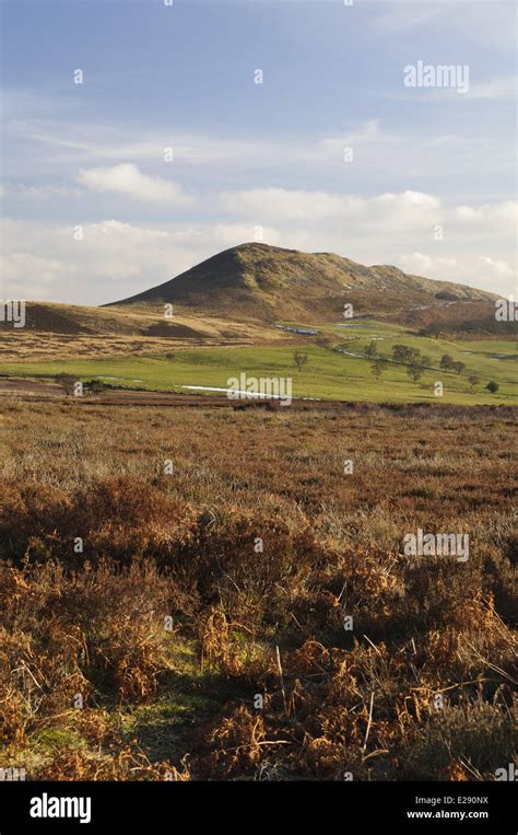 View Of Moorland Habitat Hawnby Hill Hawnby North York Moors Np